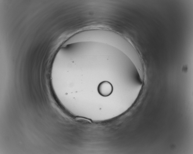 X0000115180193200911251404