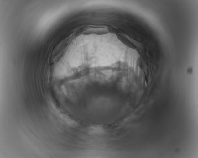 X0000115180194200911251404