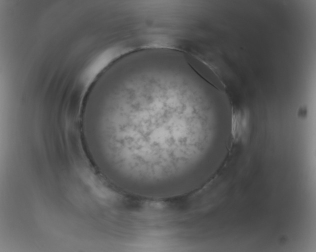 X0000115180195200911251404