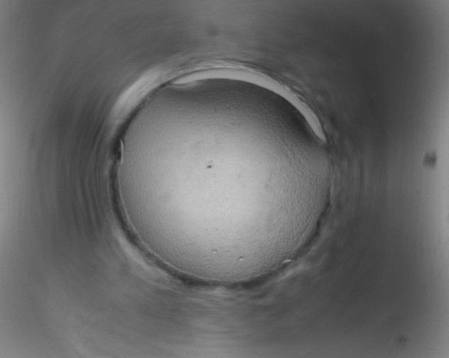 X0000115180197200911251404