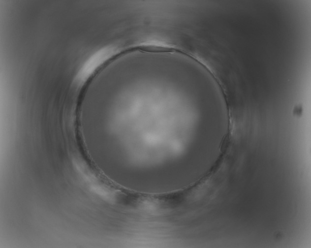 X0000115180199200911251404