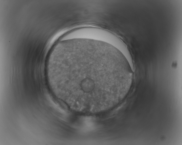 X0000115180200200911251404