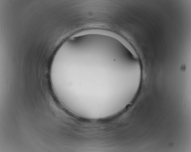 X0000115180201200911251404