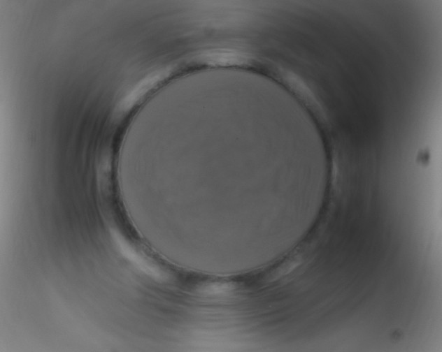 X0000115180202200911251404