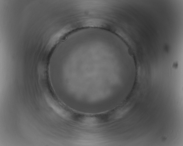 X0000115180203200911251404