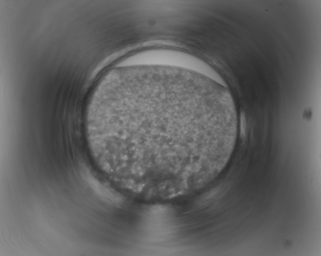 X0000115180204200911251404