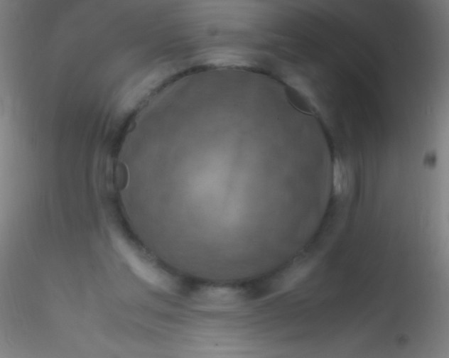 X0000115180205200911251404
