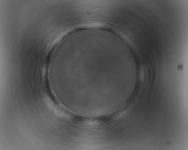 X0000115180206200911251404