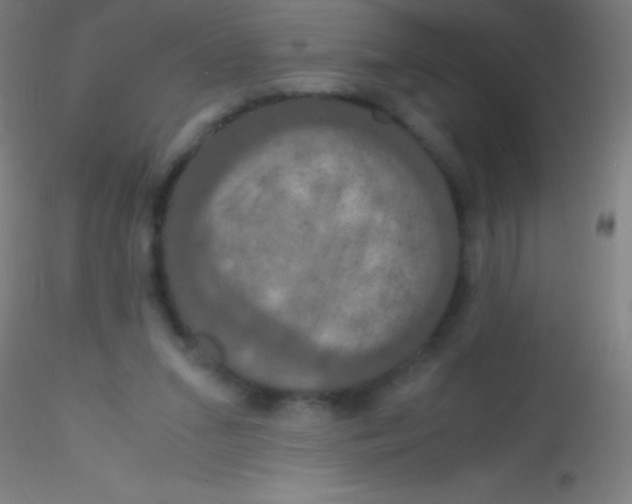 X0000115180207200911251404