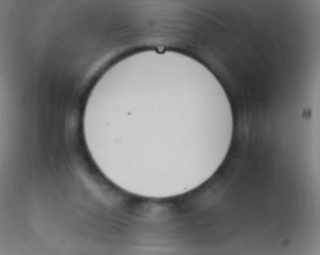 X0000115180208200911251404