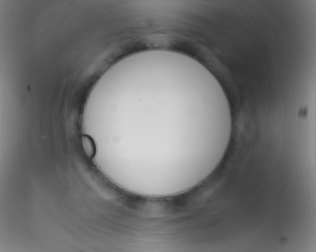 X0000115180209200911251404