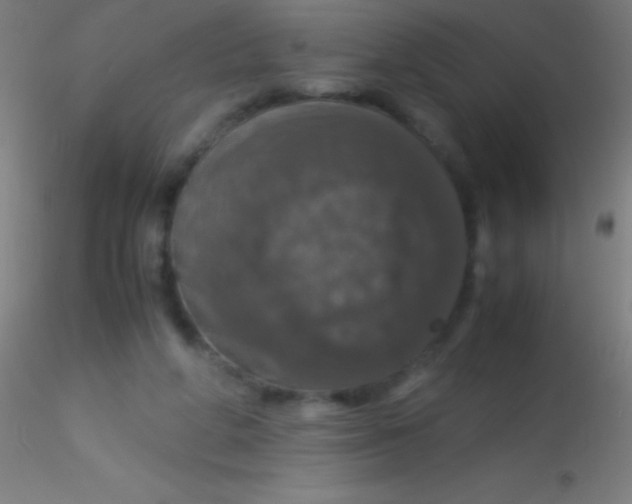X0000115180210200911251404