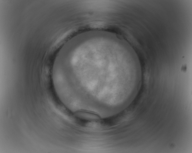 X0000115180211200911251404