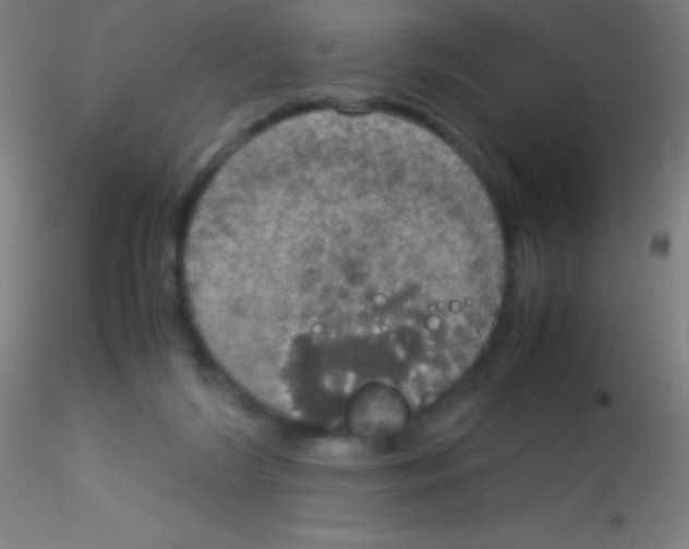 X0000115180212200911251404