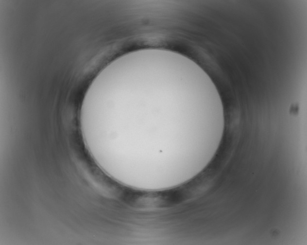 X0000115180213200911251404