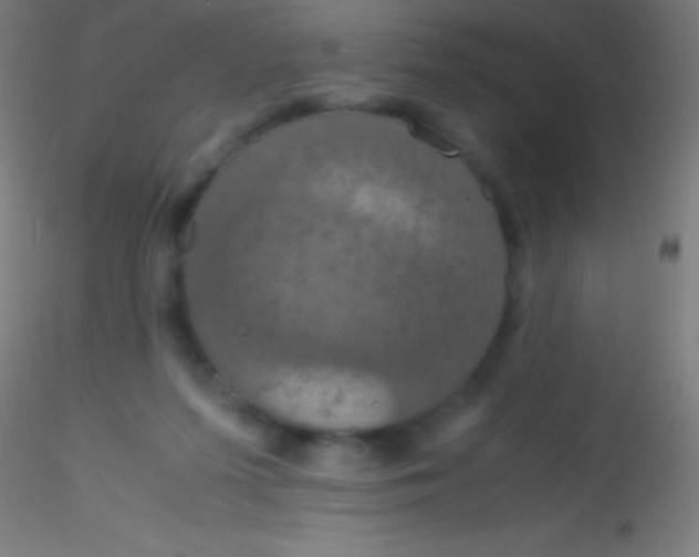 X0000115180215200911251404
