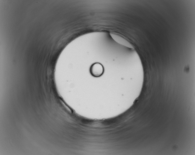 X0000115180219200911251404