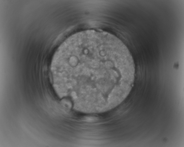 X0000115180220200911251404