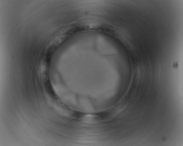 X0000115180222200911251404