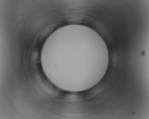 X0000115180224200911251404