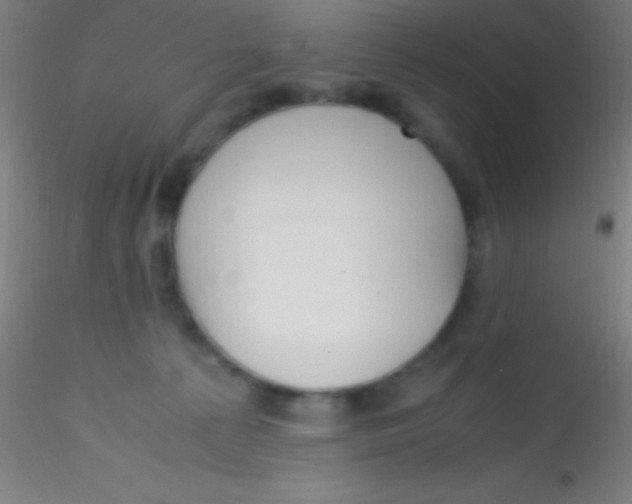 X0000115180225200911251404
