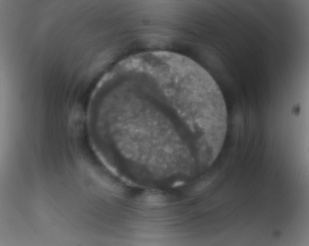 X0000115180228200911251404