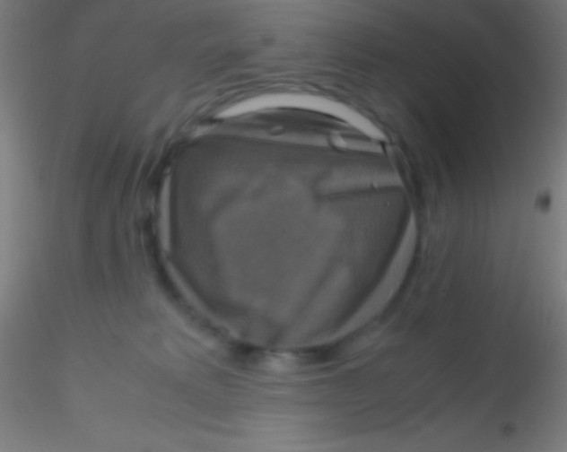 X0000115180229200911251404
