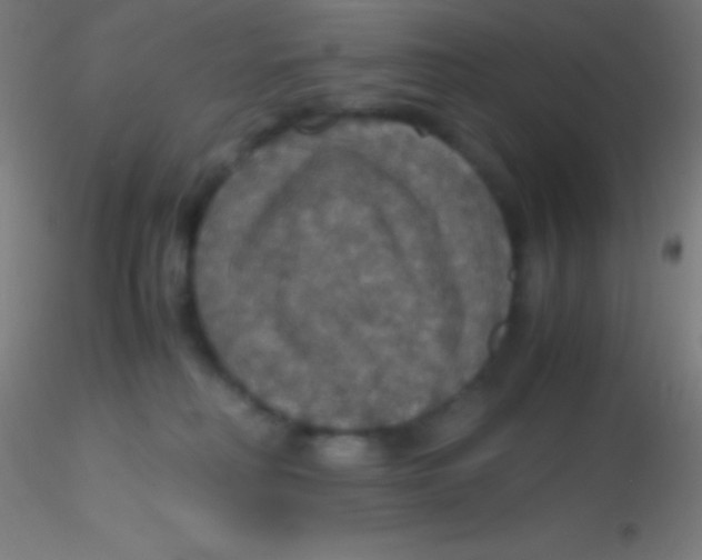 X0000115180230200911251404