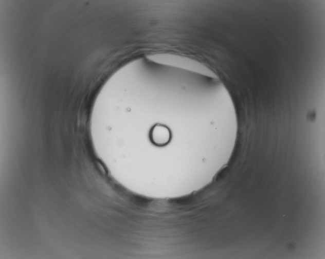 X0000115180231200911251404