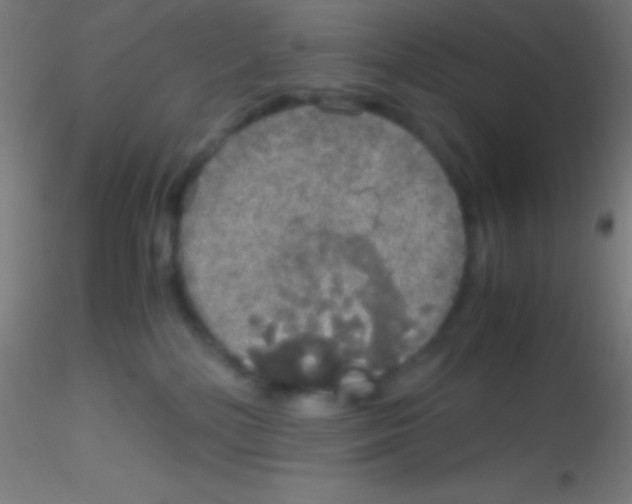 X0000115180232200911251404