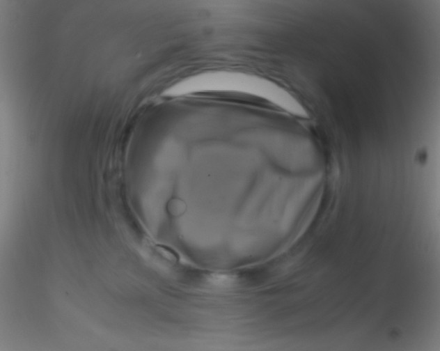 X0000115180233200911251404