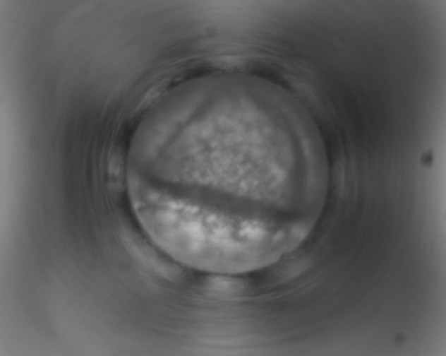 X0000115180234200911251404