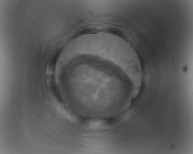 X0000115180235200911251404