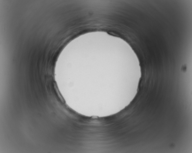 X0000115180236200911251404