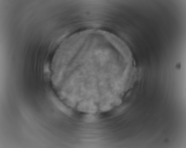 X0000115180238200911251404