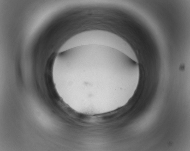 X0000115180239200911251404