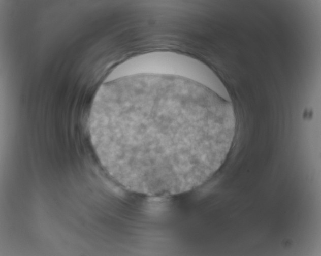 X0000115180240200911251404