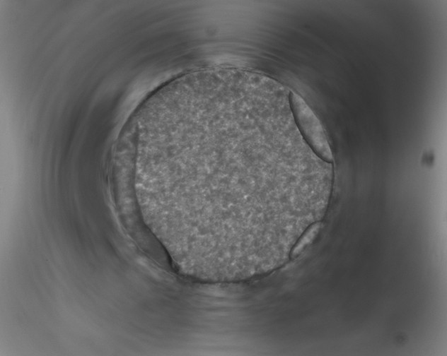 X0000115180241200911251403