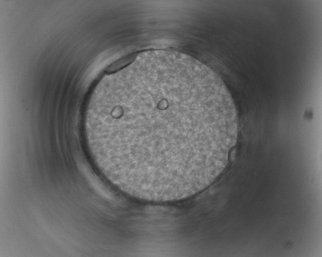 X0000115180242200911251403