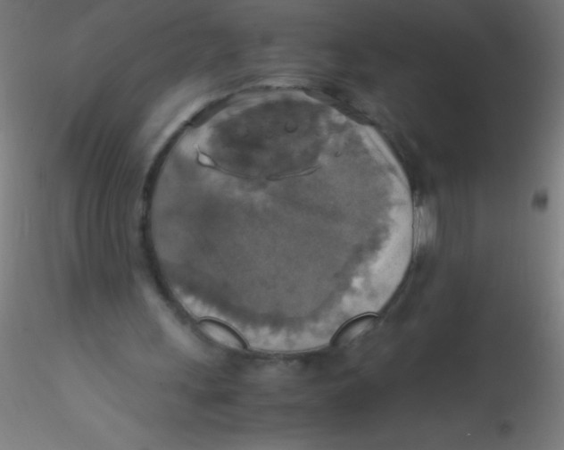 X0000115180243200911251403