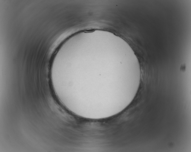 X0000115180244200911251403