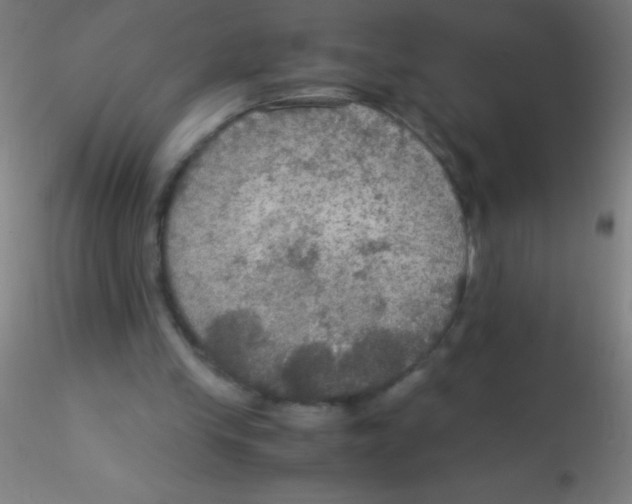 X0000115180245200911251403
