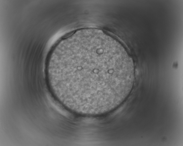 X0000115180246200911251403