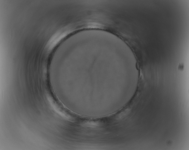 X0000115180247200911251403