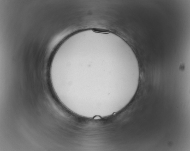 X0000115180248200911251403