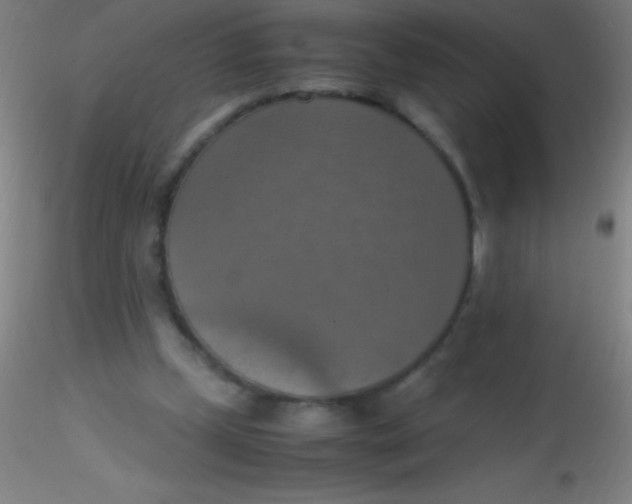 X0000115180249200911251403