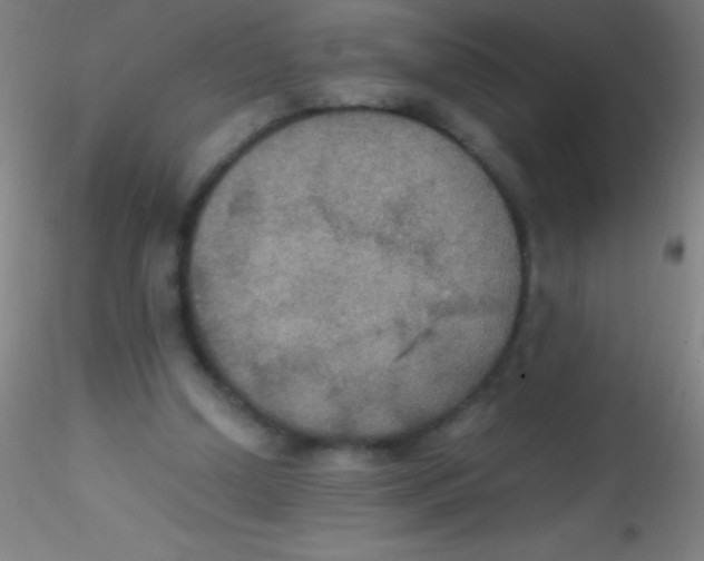 X0000115180250200911251403