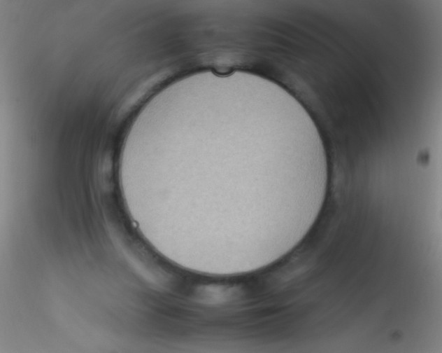 X0000115180251200911251403