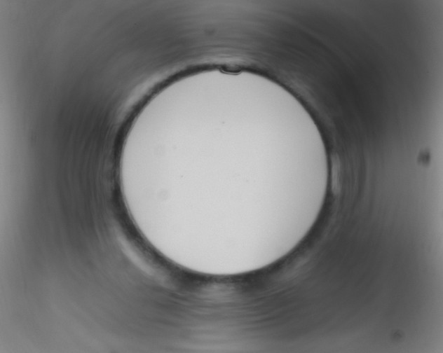 X0000115180252200911251403