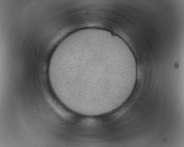 X0000115180253200911251403
